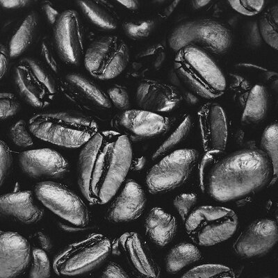 Dark roast beans